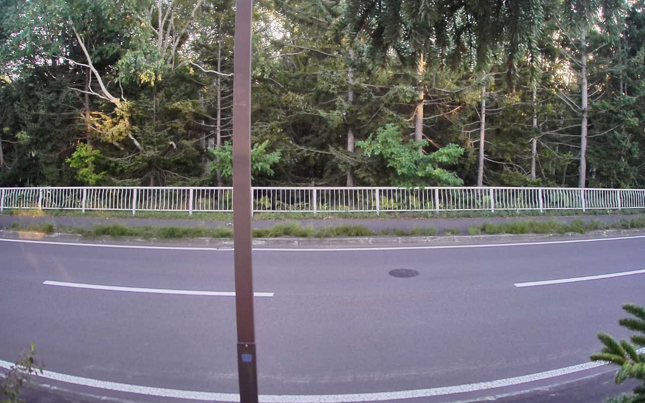 8000-20250813180315.jpg