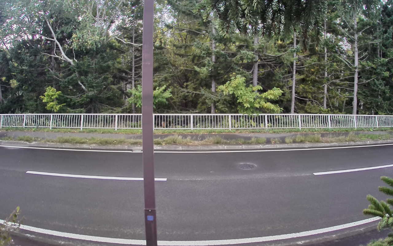 8000-20250918120316.jpg