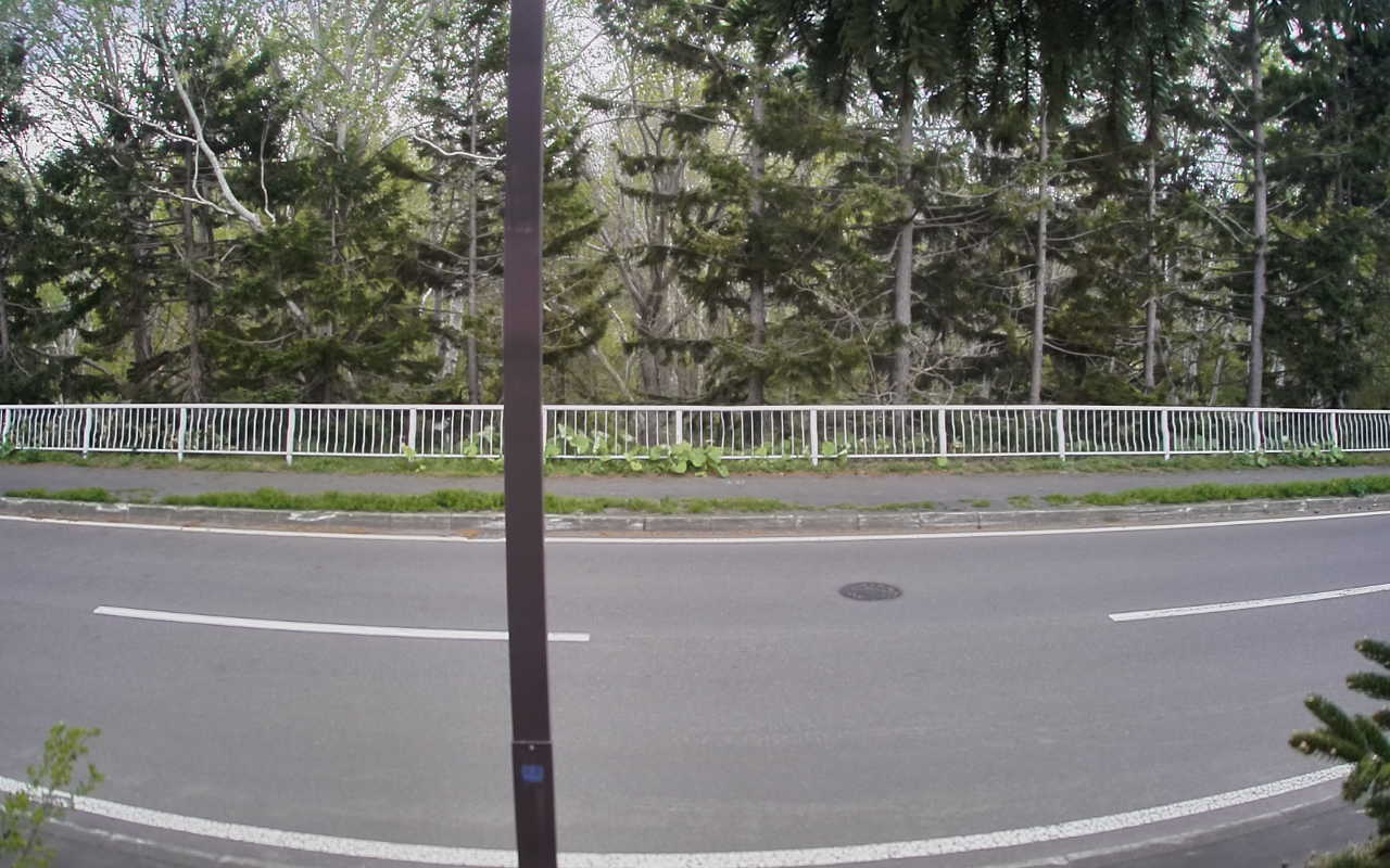 8000-20260511090317.jpg