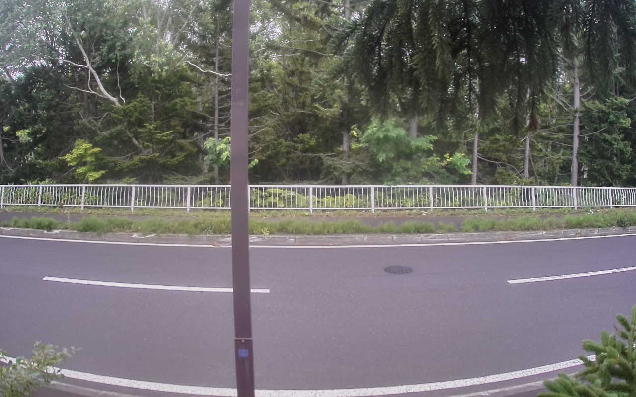 8000-20260714060317.jpg
