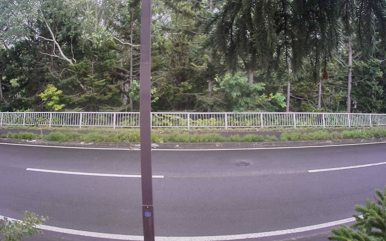 8000-20260714090316.jpg